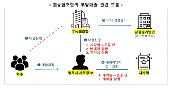 농협조합의 부당대출 관련 흐름 /금융감독원