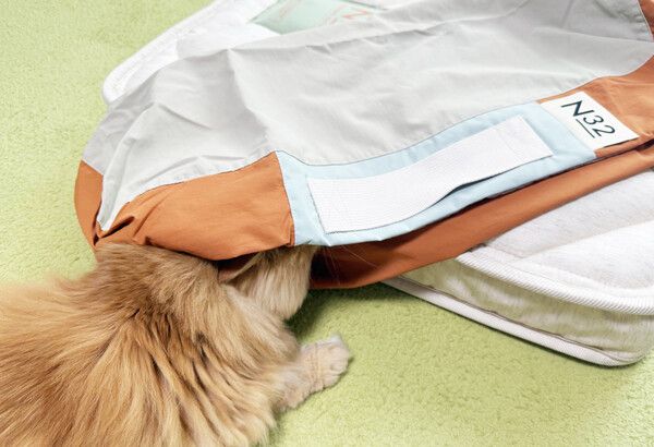 시몬스 N32 '쪼꼬미' 전용 슬리브를 탐색 중인 고양이 ⓒ포인트경제