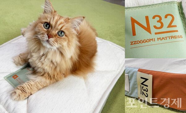 ​시몬스 N32 '쪼꼬미' 탐색 후 자리를 잡는 고양이 ⓒ포인트경제시몬스 N32 '쪼꼬미'와 전용 슬리브 ⓒ포인트경제