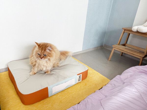 시몬스 N32 '쪼꼬미' 전용 슬리브는 어디에나 어울리는 컬러로 인테리어와 어우러진다 ⓒ포인트경제