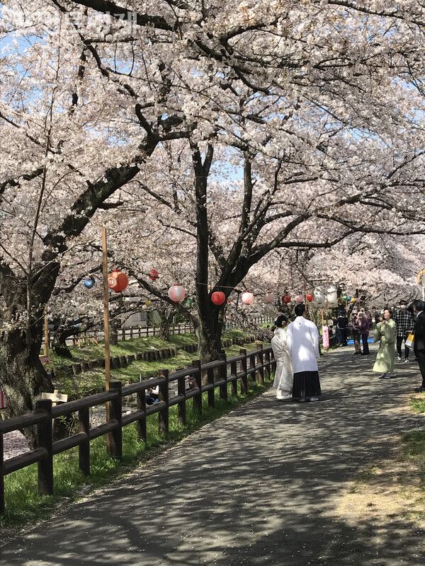 카와고에시(川越市)의 신가시강(新河岸川)의 풍경 ⓒ포인트경제 박진우 특파원