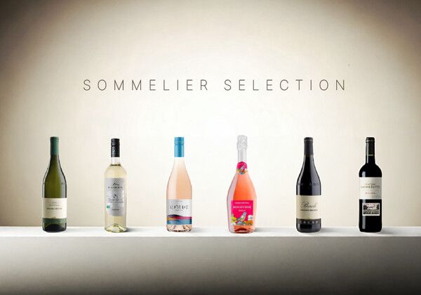 엘비오 코뇨, 카이켄, 샤또 라그레제트 등 아로마 와인 이미지.