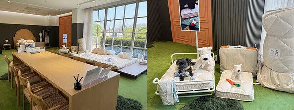 N32 스튜디오, 펫 매트리스 '쪼꼬미' (포인트경제)