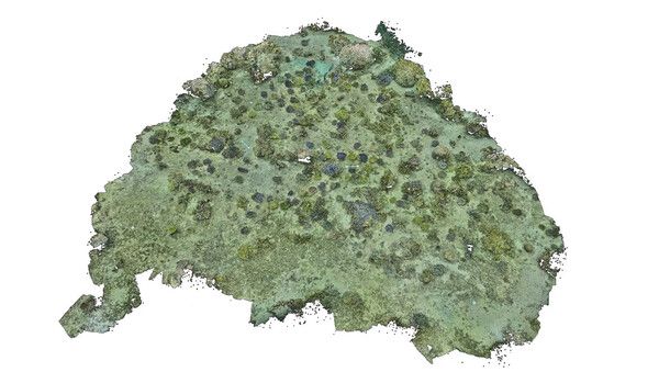 삼성전자 해양 생태계 복원 프로젝트 '코랄 인 포커스(Coral in Focus)'의 3D 산호초 복원도 /삼성전자 제공