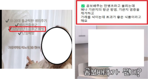 질병예방치료 효능 /식품의약품안전처