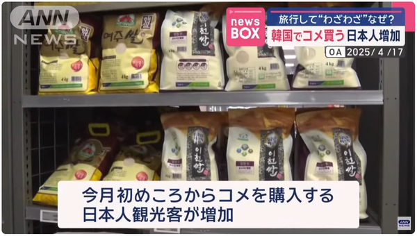 이달 초부터 쌀을 한국에서 구입하는 일본인 관광객이 늘고있다/TV아사히 보도분 캡쳐(포인트경제)