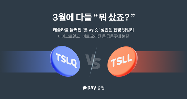 카카오페이증권 제공