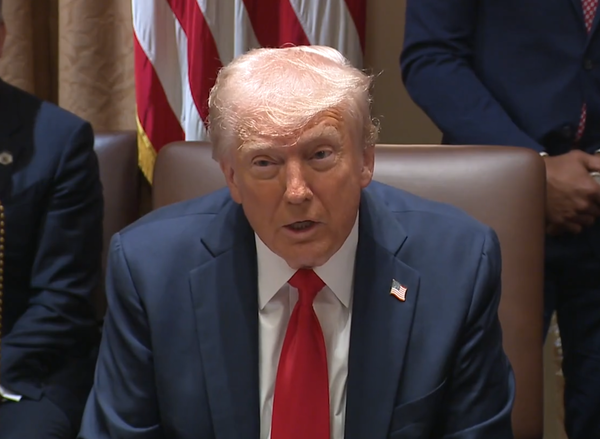 도널드 트럼프 미국 대통령 / 출처 - X (전 트위터)