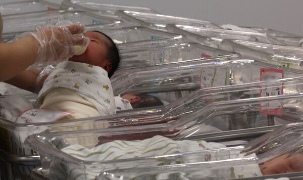 신생아실에서 간호사가 신생아들을 돌보고 있다. /사진=뉴시스