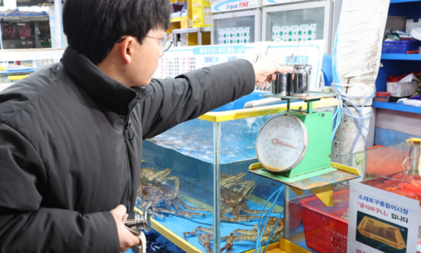 남동구합동점검반이 무게추를 이용해 상인들이 사용하는 접시 형태 저울을 점검하고 있는 모습 /사진=뉴시스