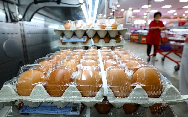 9일 서울 시내 한 대형마트 계란 매대 /사진=뉴시스