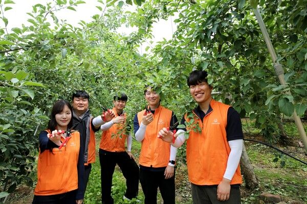 '임직원과 함께하는 농촌 일손돕기 봉사활동' /한화 제공