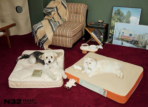 시몬스의 비건 펫 매트리스&nbsp;'N32&nbsp;쪼꼬미',&nbsp;콘래드 서울 입성...특급호텔 반려동물 시장 진출