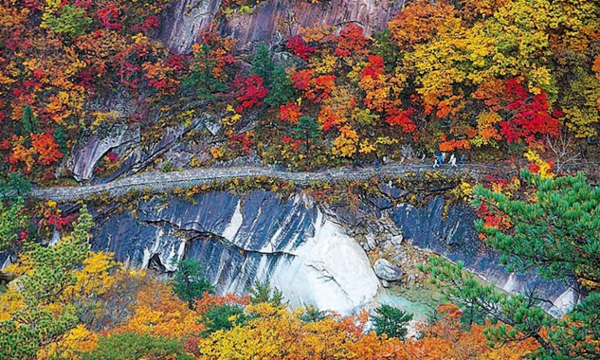 금강산(&nbsp;외금강에서도 경치가 으뜸인 구룡폭포 등반길을 평양, 원산 등지에서 온 가족 단위 관광객들이 걸어 가고 있다) /문화체육관광부