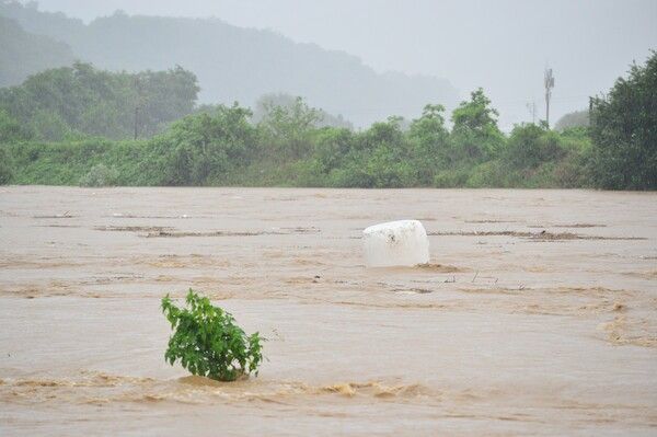 집중 호우가 내려진 17일 충북 청주시 환희교 인근 미호강의 물이 불어나 있다. /사진=뉴시스