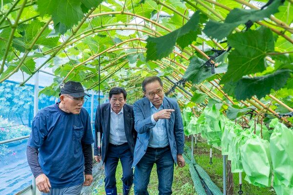 NH농협금융 (포인트경제)