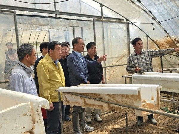 21일, 이찬우&nbsp;NH농협금융지주 회장이 충남 홍성군 침수 피해를 입은 딸기 농가를 찾아 농업인의 피해 현황과 애로사항을 청취하고 있다. /NH농협금융지주 (포인트경제)