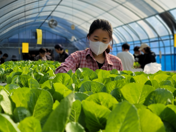 청년농부사관학교 8기 비즈니스 플랜과정 / 농협창업농지원센터 홈페이지 (포인트경제)