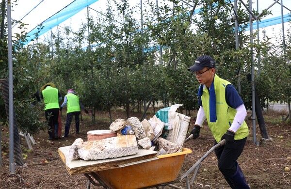 NH농협생명 (포인트경제)