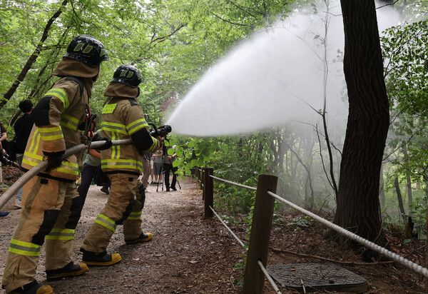 3일 서울 노원구 삼육대학교 인근 제명호에서 서울소방 관계자들이 '러브버그(붉은등우단털파리)' 방제작업을 하고 있다.