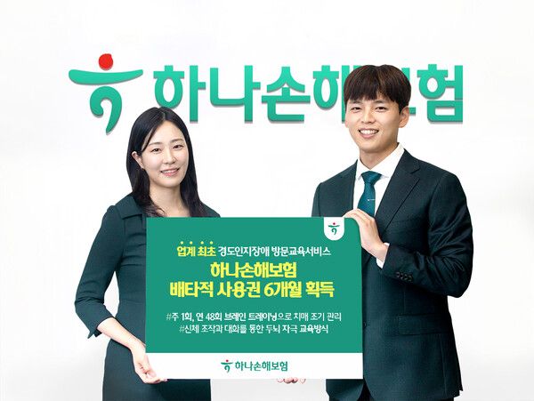 하나손해보험 (포인트경제)