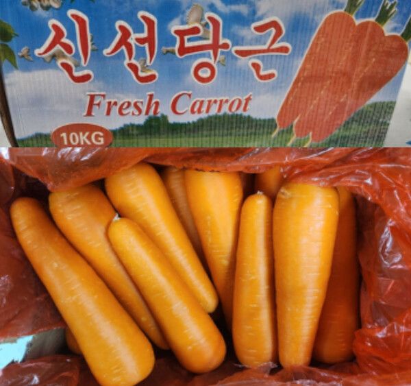 잔류농약 기준 초과 검출로 회수 조치된 중국산 당근 제품 /식품의약품안전처