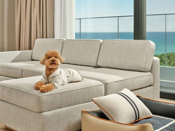 신라모노그램 강릉 레지던스 펫 객실&nbsp; (포인트경제)