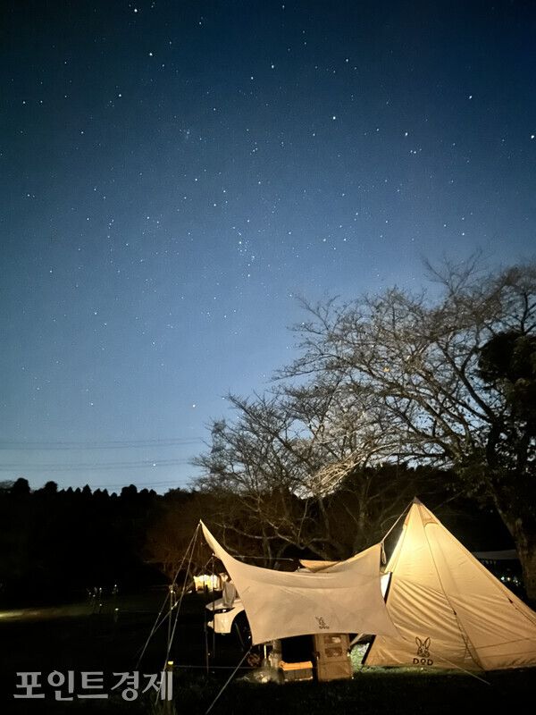 별빛 아래 캠핑장ⓒ포인트경제 박진우