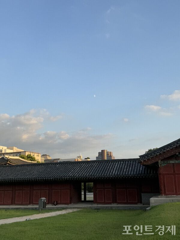 2일 창경궁 내부에서 보이는 하늘 풍경 /사진=명은별