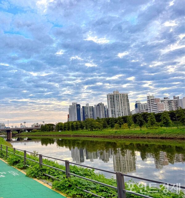 23일 오전 6시께 안양천 풍경 /사진=이영후