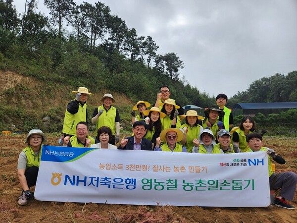 NH저축은행은 26일, 수확철을 맞아 경기 여주시 흥천면에서 농촌 일손돕기를 실시했다. 김장섭 NH저축은행 대표이사(앞줄 오른쪽에서 네 번째), 이용주 대신농협 조합장(앞줄 오른쪽에서 다섯 번째) 및 NH저축은행 임직원들이 기념 촬영을 하고 있다.
