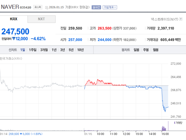 국가대표 AI 탈락에 네이버 주가 하락 / 출처=네이버증권(포인트경제)