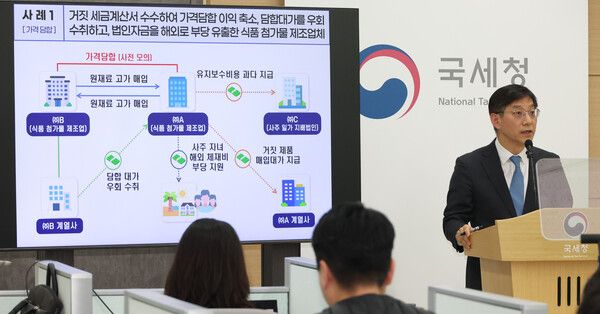 안덕수 국세청 조사국장이 27일 세종시 정부세종2청사에서 불공정행위로 생활물가 상승을 주도하고 서민 부담을 가중시키는 생필품 폭리 탈세자에 대한 세무조사를 실시한다고 밝히고 있다. /사진=뉴시스