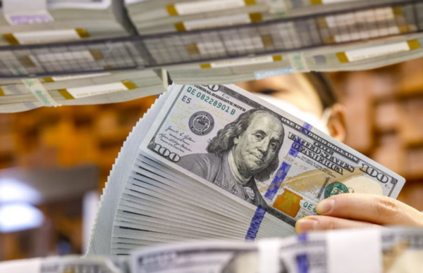 6일 서울 중구 하나은행 위변조대응센터에서 직원이 달러를 정리하고 있다. /사진=뉴시스