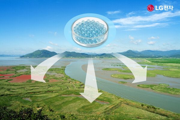 순천만 갯벌에 '마린 글라스'를 적용하는 모습 예시 /LG전자 제공