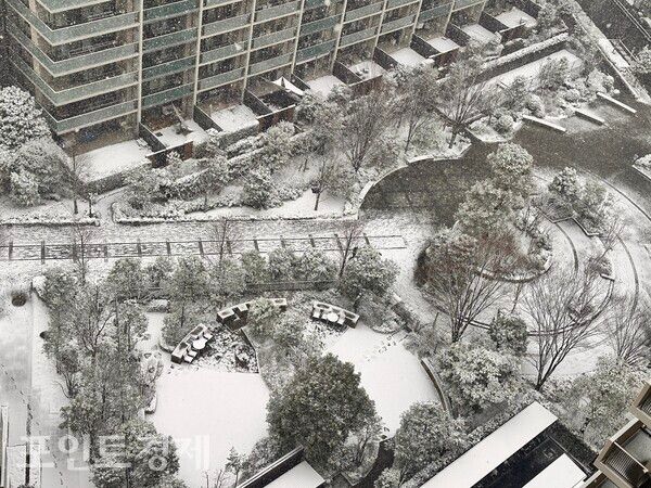 고층에서 내려다본 주거지역 일대가 온통 흰빛으로 물들어 도시 풍경이 잠시 멈춘 듯 보인다/사진=박진우 특파원 ⓒ포인트경제