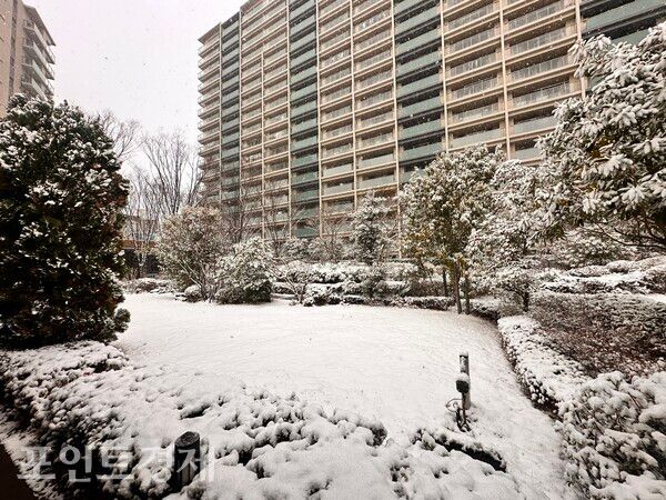도심 아파트 단지 사이에 자리한 공원이 적설로 고요해진 가운데, 간간이 오가는 시민들의 발자국만 남아 있다/사진=박진우 특파원 ⓒ포인트경제