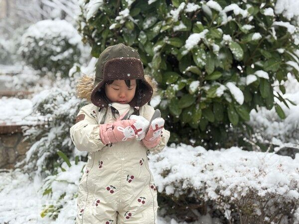 장갑 위에 눈을 바라보는 아이의 겨울 한순간/사진=박진우 특파원 ⓒ포인트경제