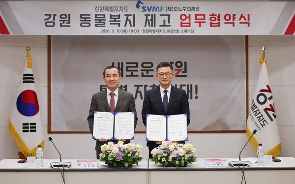 소노수의재단, 강원도와 유기묘 입양·반려동물 의료지원 확대를 위한 업무협약 체결 /소노수의재단 제공