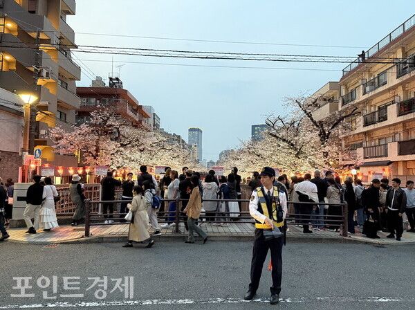 도쿄 메구로가와(目黒川) 벚꽃 명소에 인파가 몰린 29일 오후, 현장에 배치된 경찰이 시민과 관광객의 이동을 관리하고 있다/사진=박진우 특파원 ⓒ포인트경제