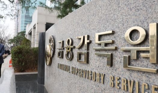 금융감독원 /사진=뉴시스