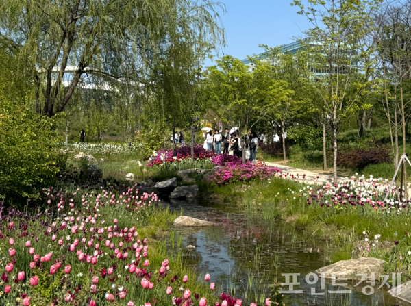 25일 서울 강서구 서울식물원에 나들이객들이 튤립 너머로 봄을 만끽하고 있다. /사진=심다온 ⓒ포인트경제