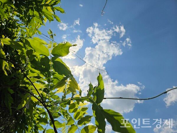 4일 오후 2시 13분께 여의도에서 보이는 맑은 하늘&nbsp;ⓒ포인트경제