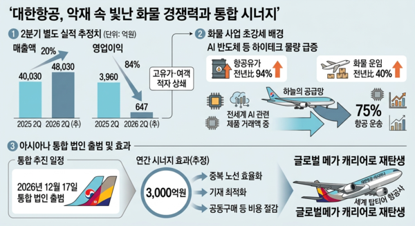 대한항공의 화물 경쟁력과 아시아나항공 통합 시너지 /AI이미지