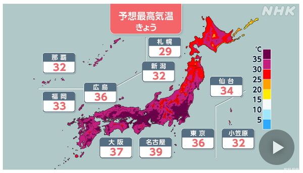 일본 전역에 폭염이 예보됐다/NHK 보도 화면 갈무리(포인트경제)