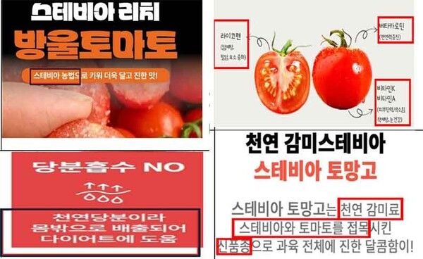 스테비아 토마토 부당광고 일부 /식품의약품안전처