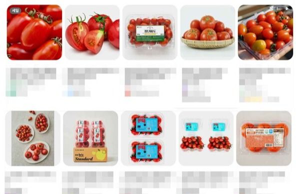 온라인에서 판매되고 있는 '스테비아 토마토' 상품들 (해당 이미지는 기사내용과 직접적 관련 없음) /구글 쇼핑