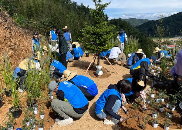 신한은행, 멸종위기 구상나무 숲 SOL방울 FOREST 2차년도 식재 행사 개최 /신한은행