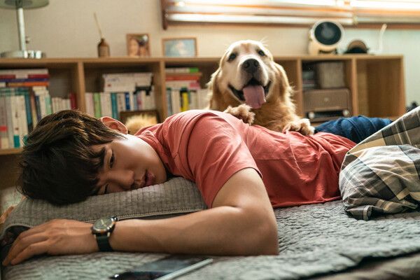 영화 '멍뭉이' 유연석 캐릭터 스틸. 사진=키다리스튜디오