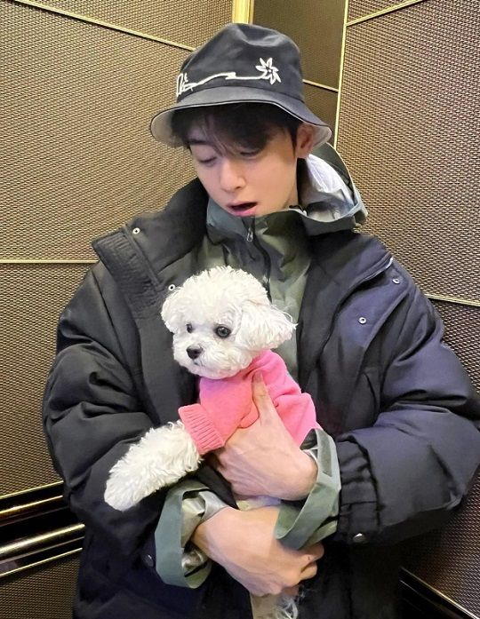 사진=아스트로 멤버 겸 배우 차은우